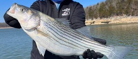 A person holding a fish on a boat.