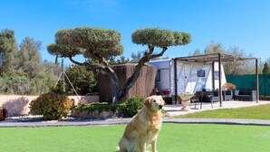 Un perro sentado sobre el césped, con una caravana y una pérgola al fondo.