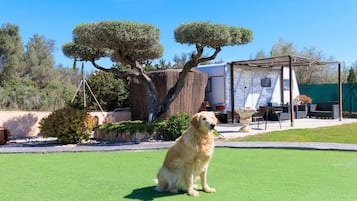 Enceinte de l’hébergement