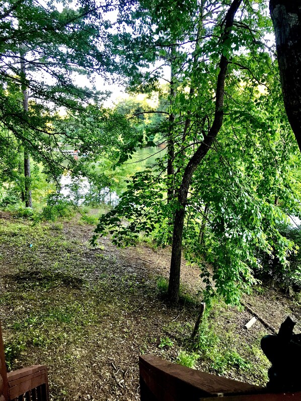 Àrea exterior de l'allotjament