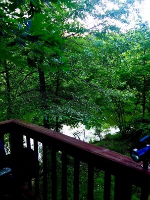 Àrea exterior de l'allotjament