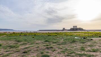 A coastal landscape with a grassy area, a sandy beach, and a large historical structure in the background.