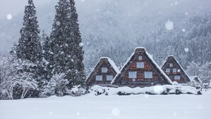 Een chalet met een steil dak, omringd door met sneeuw bedekte bomen.