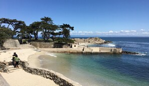 A beach with a stone wall, a small building, and trees. - Latitude Adjustment - Pacific Grove Duplex - Ocean View, Walk to Town, Pet Friendly! (Pacific Grove)