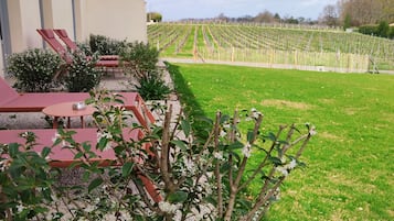 A vineyard with rows of grapevines, a building with a white facade, and outdoor seating with red chairs and tables.