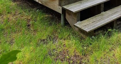 Cabin in the Fontainebleau Forest