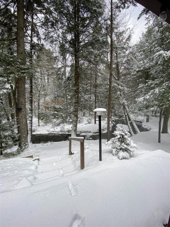 Schnee bedeckter Wald mit einer Holzbank und einer Laterne.