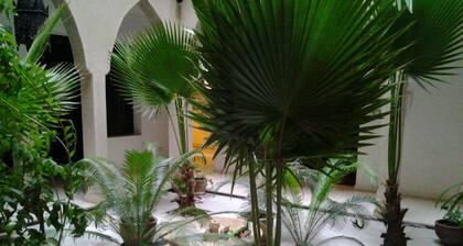 Magnifique Riad Ă Marrakech