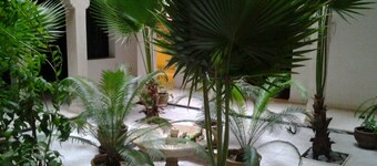 Magnifique Riad à Marrakech