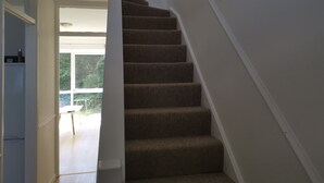 A carpeted staircase in a room with white walls and a window.