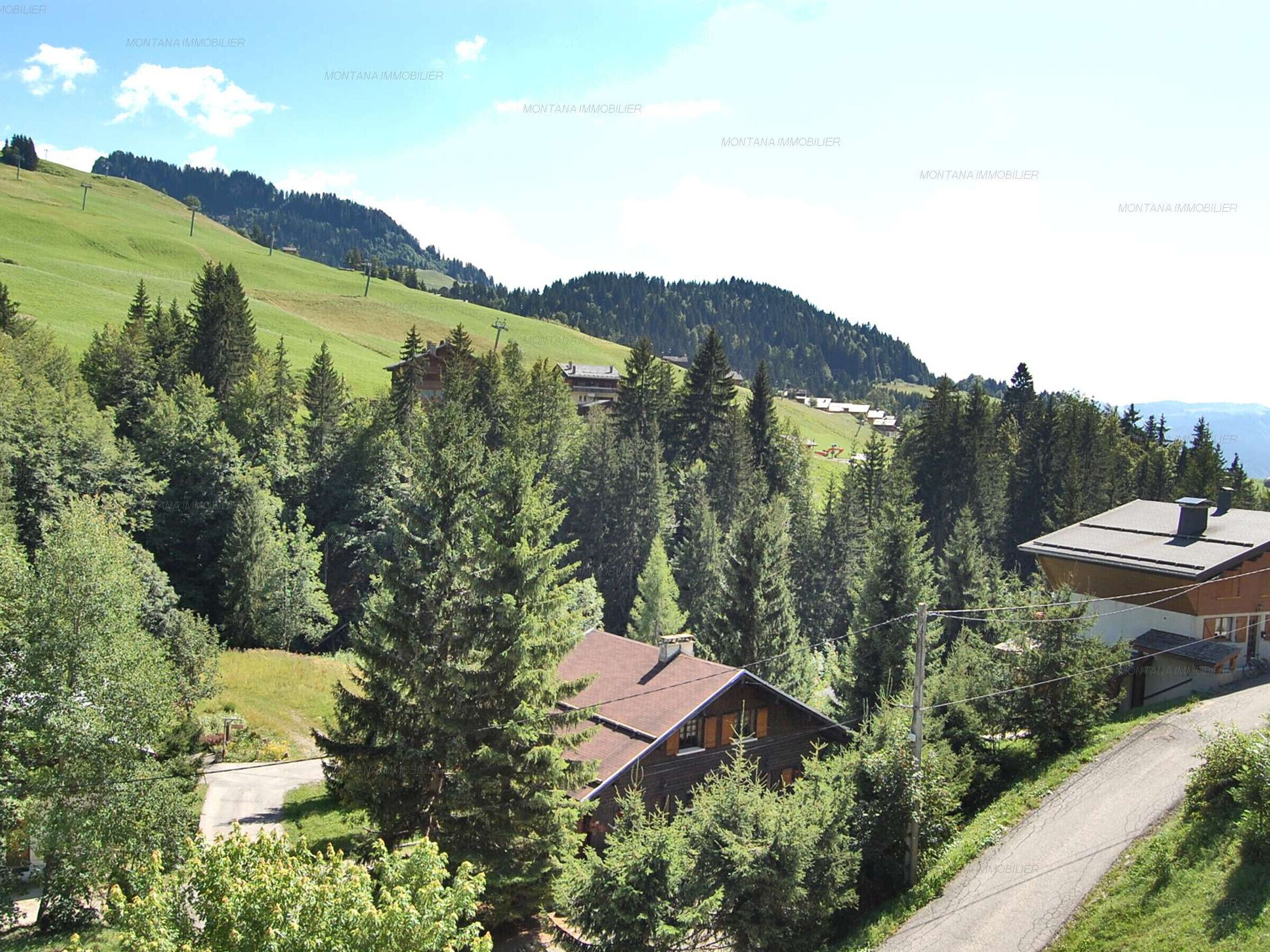 Eine ländliche Berglandschaft mit einer Straße, Häusern und dichtem Wald.