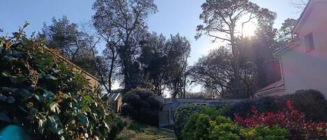 Jardines del alojamiento