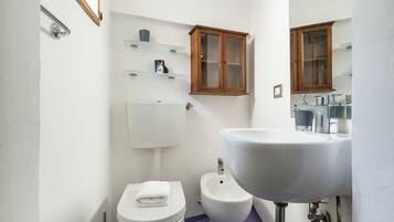 Apartment | Bathroom | Shower, hair dryer