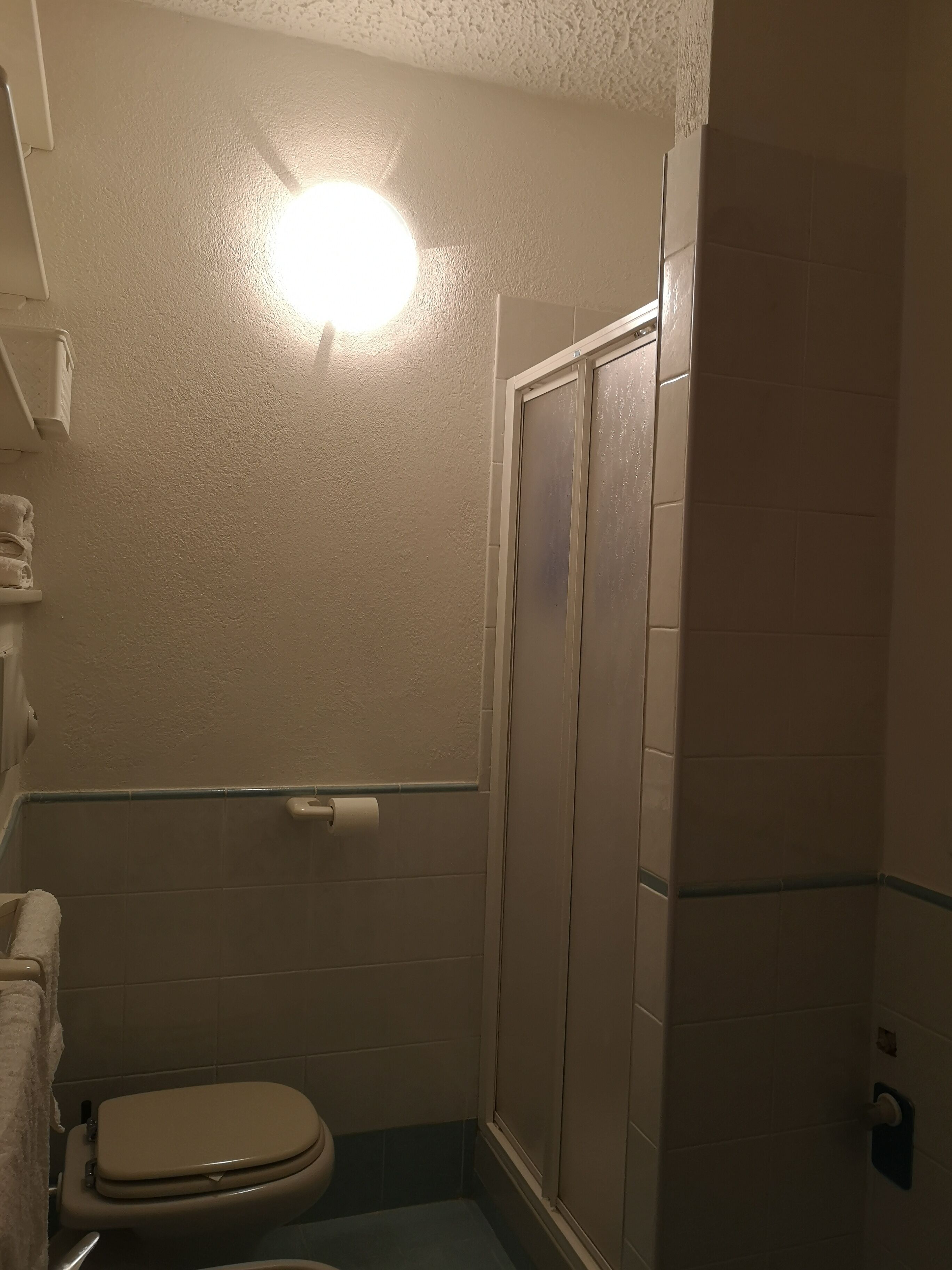Een kleine badkamer met toilet, douchecabine en handdoekrek.