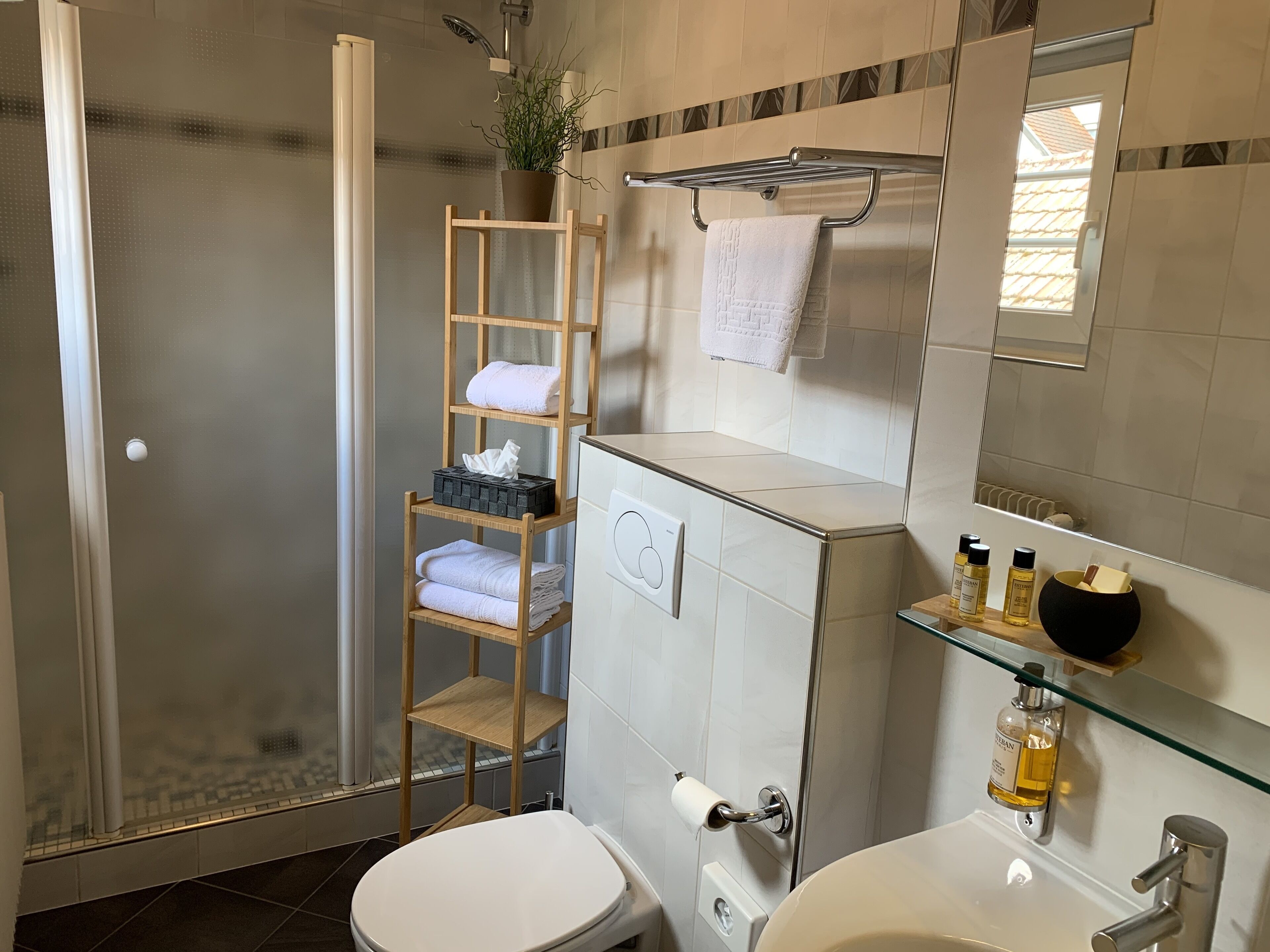 shower, free toiletries, hair dryer, towels