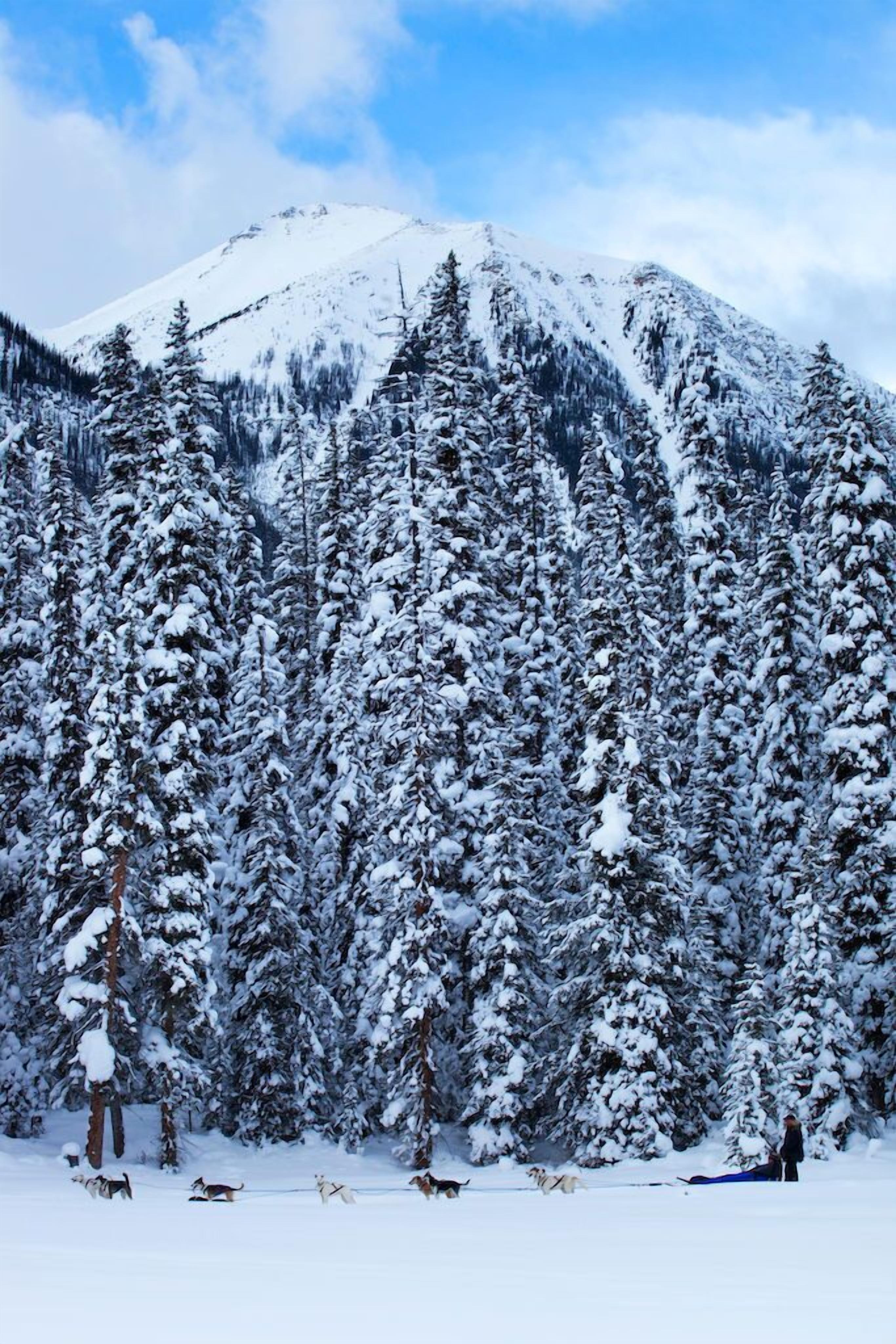 Enjoy a memorable ski holiday.