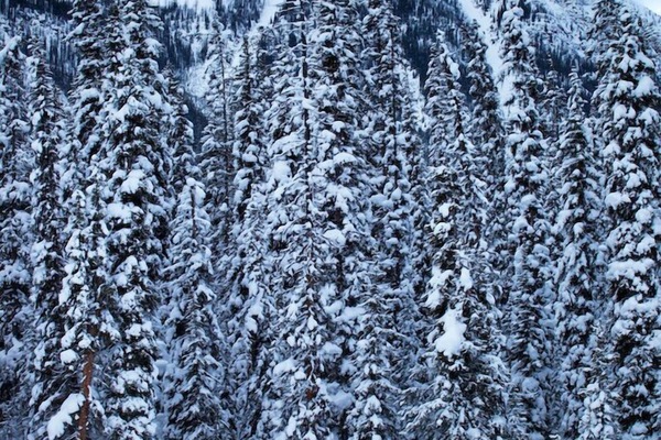 Enjoy a memorable ski holiday.