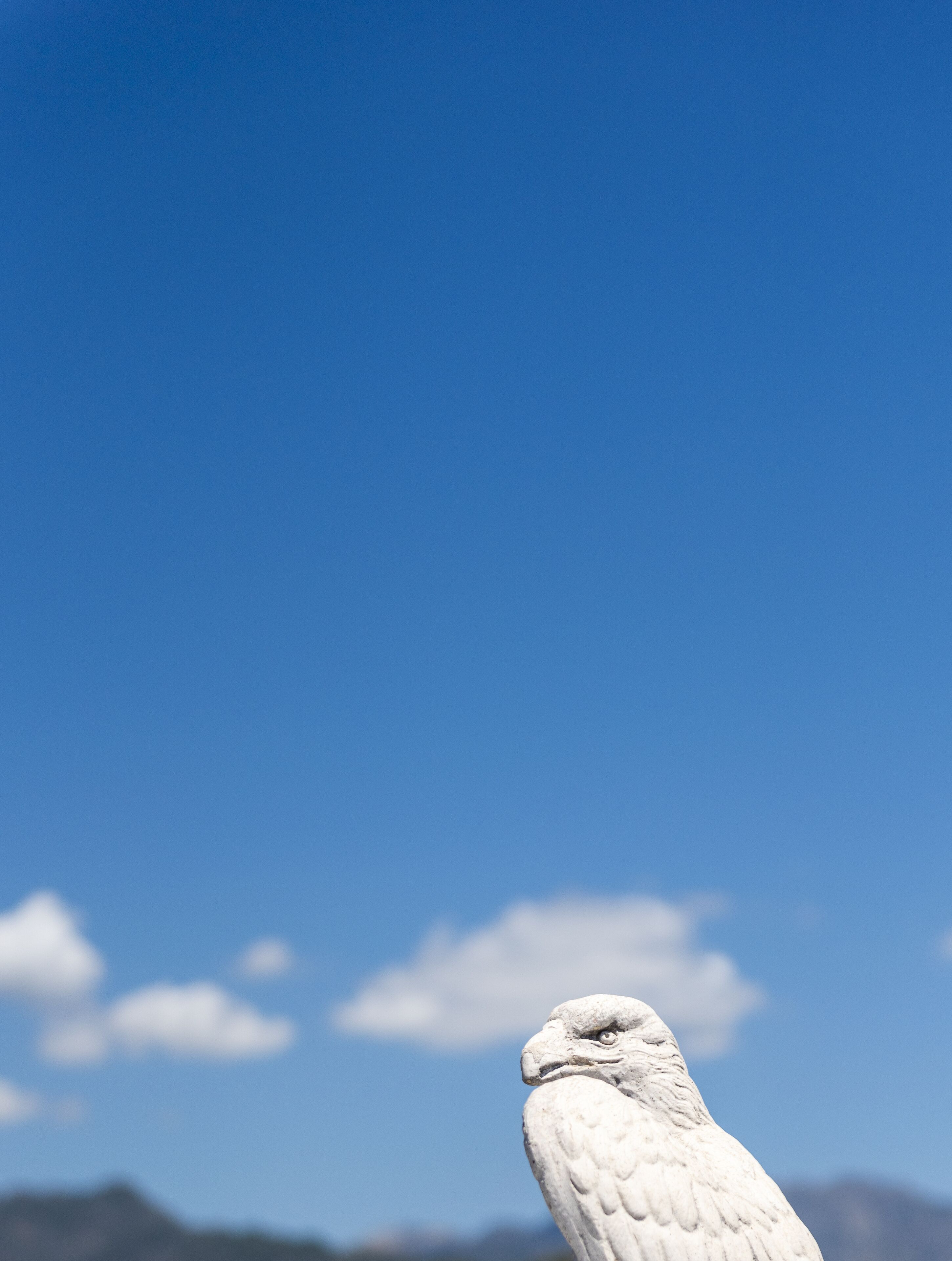 A white bird, likely a falcon, perched against a clear blue sky with a mountain range in the background.
