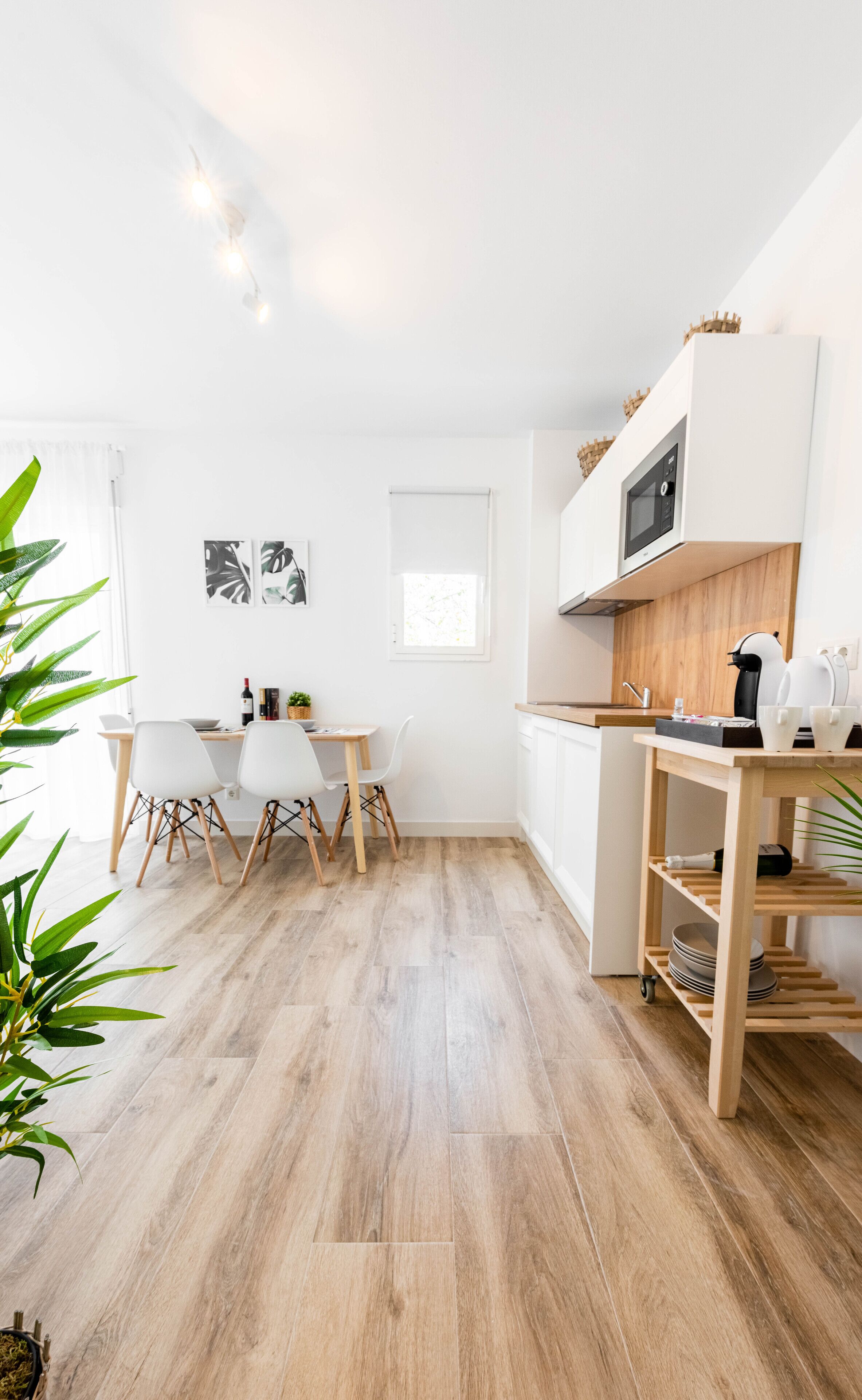 Standard-Apartment | Eigene Küche | Mini-Kühlschrank, Mikrowelle, Herdplatte, Espressomaschine