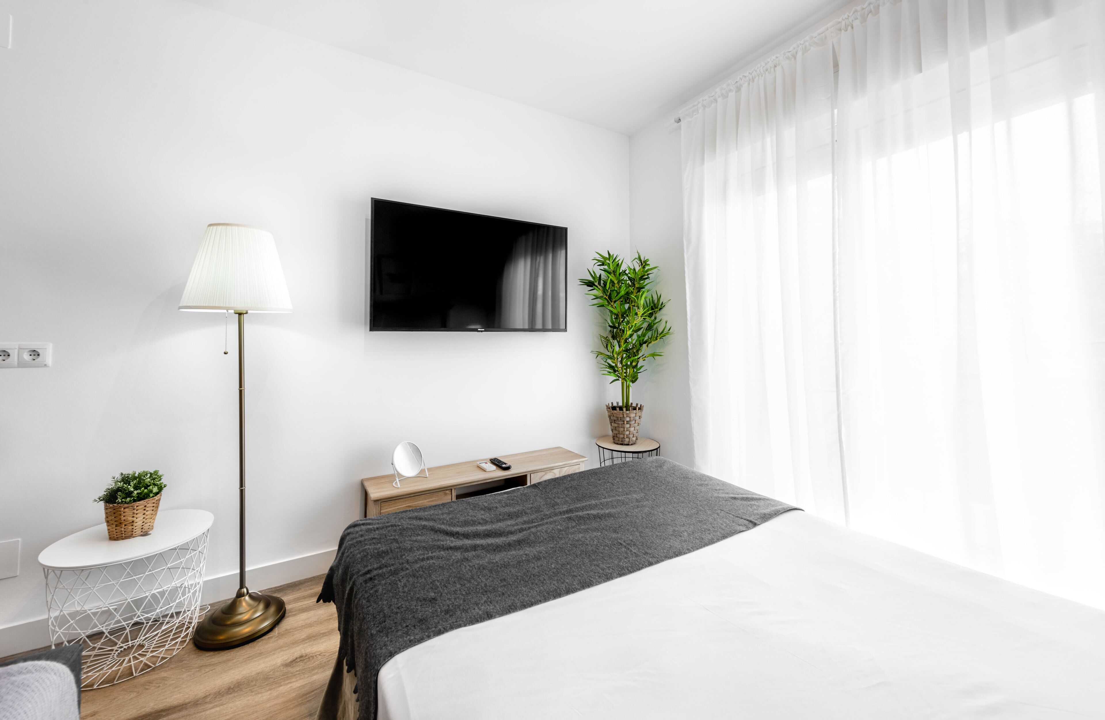 Habitación de hotel moderna con cama, televisor de pantalla plana, mesita de noche con lámpara, planta pequeña en maceta y vistas al exterior.
