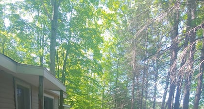 The Lodge in Manistee