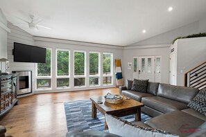 TV, fireplace, video games, ping pong