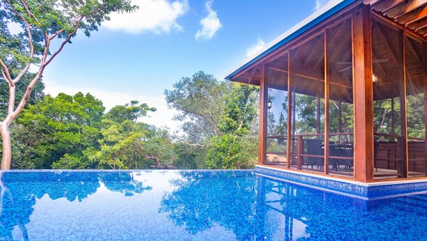 Piscina infinita azul cristalina con cubierta de madera y cerramiento de vidrio, rodeada de exuberante vegetación.