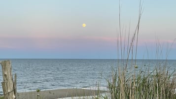 Una spiaggia nelle vicinanze