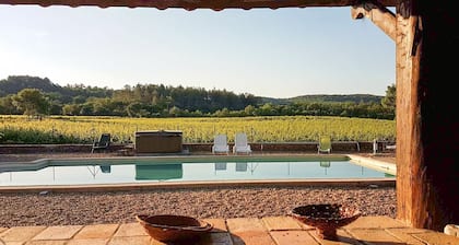 Charming gîte in the heart of the vineyards - Swimming pool, Jacuzzi & Air conditioning