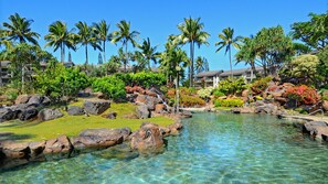 Pool - Hanalei Bay Resort 62034 By Parrish Kauai - fabulous ocean view & walk to beach! (Princeville)