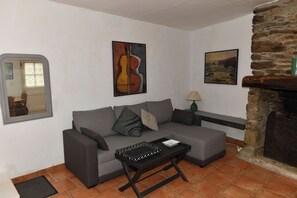 電視、壁爐、DVD 播放機