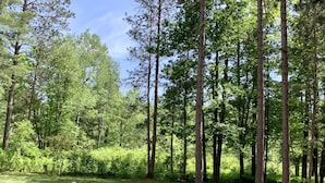 A forested area with a group of Adirondack chairs arranged around a fire pit. - Home On Bike/Snowmobile/UTV-ATV Trail Near Chain of Lakes and Town! (Manitowish Waters)
