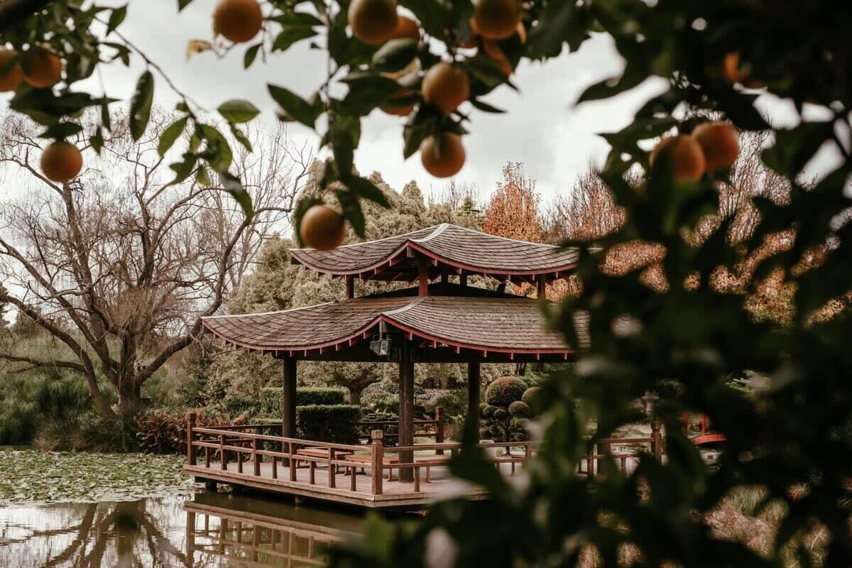 Jardines del alojamiento