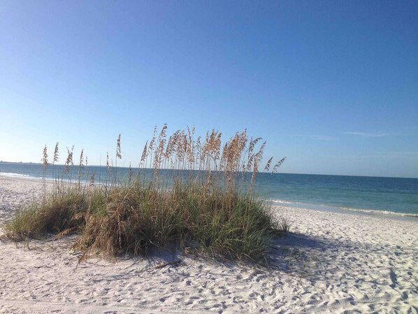 Imagen sin descripción, 1 de 32, botón