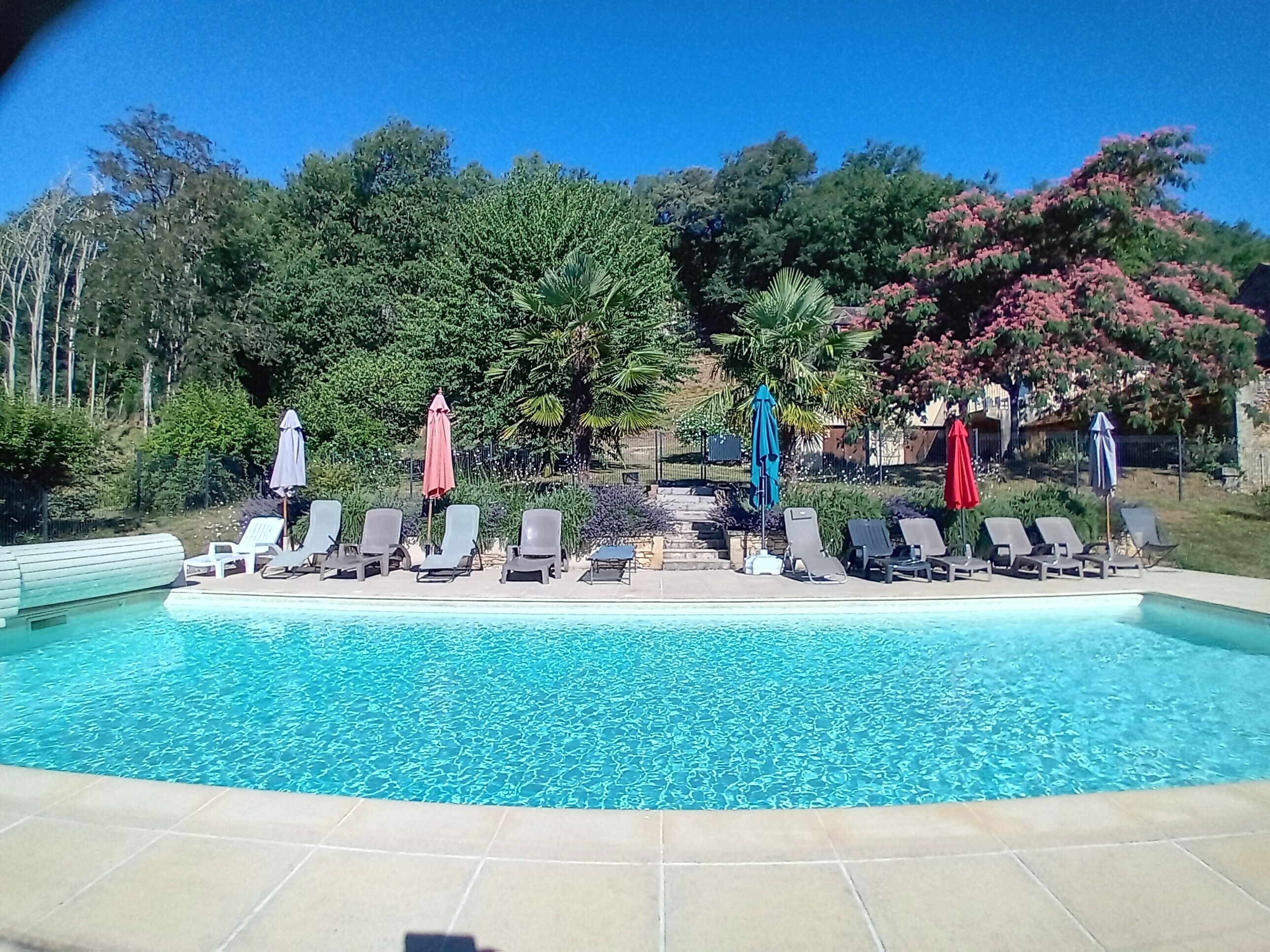 Una piscina con sillas de descanso y sombrillas, rodeada de árboles y arbustos.