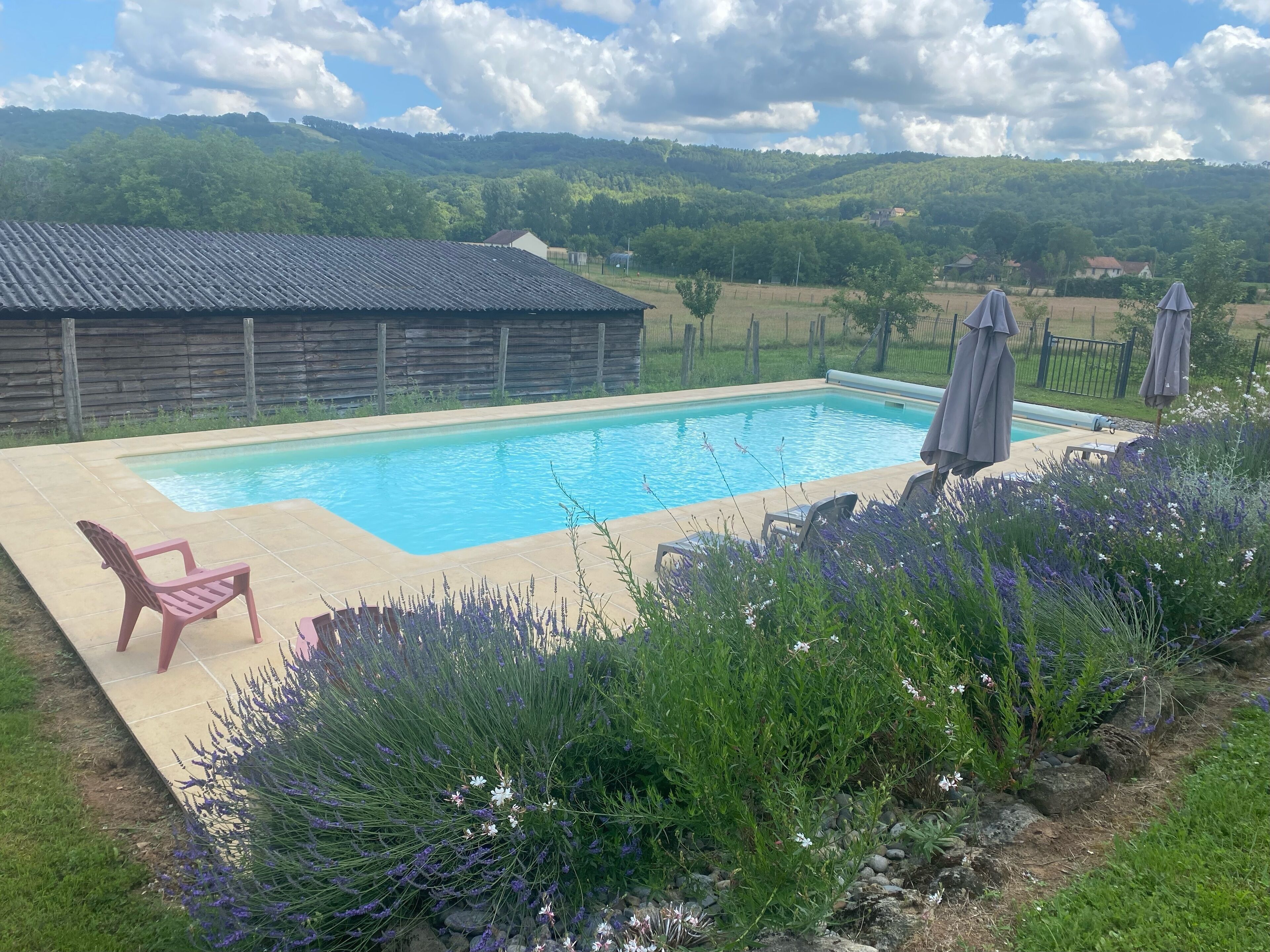 A rectangular swimming pool with a tiled deck, surrounded by a garden with lavender plants and a wooden fence.