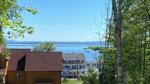 A residential area with houses, a clear view of a lake, and a birch tree in the foreground.