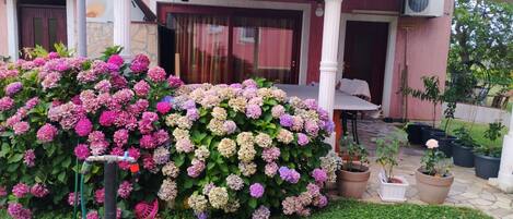 A garden with hydrangea bushes, a patio with a table and chairs, and potted plants.