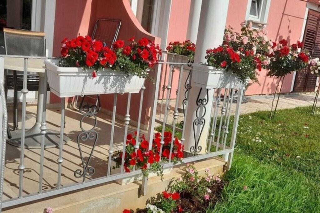 A balcony with white railings and flower boxes containing red and pink flowers.
