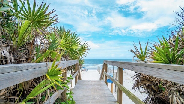 Un paseo marítimo de madera que conduce a una playa, flanqueado por palmeras.