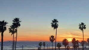 A beach with palm trees and a sunset. - This Venue is set up for hourly rates only. 4.5 hour min.  Capacity 150 guests   (Costa Mesa)