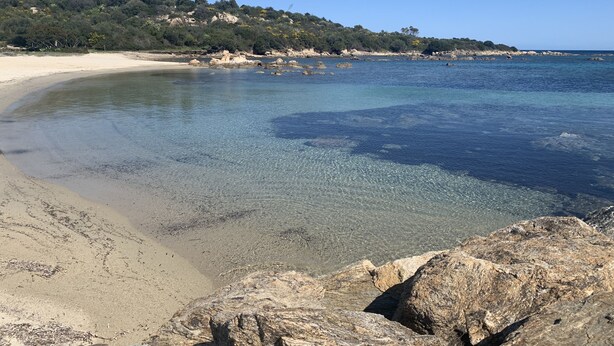A beach with clear water, sandy shore, and rocky outcrops. - Mediterranean&sea Shell House (Limpiddu)