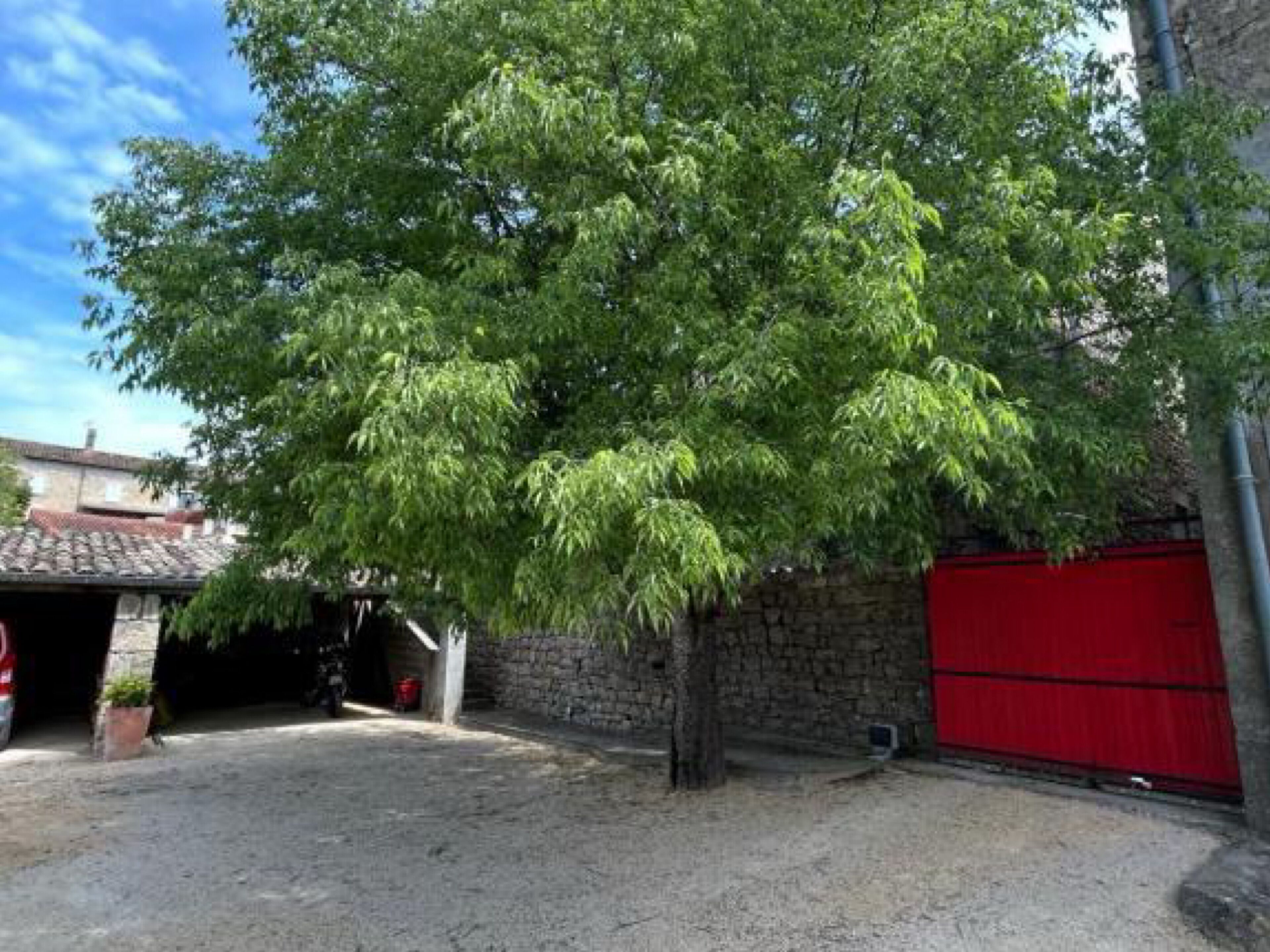 A tree in front of a building with a red gate.