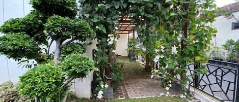 A garden with a pathway leading to a covered area, surrounded by various plants and a fence.