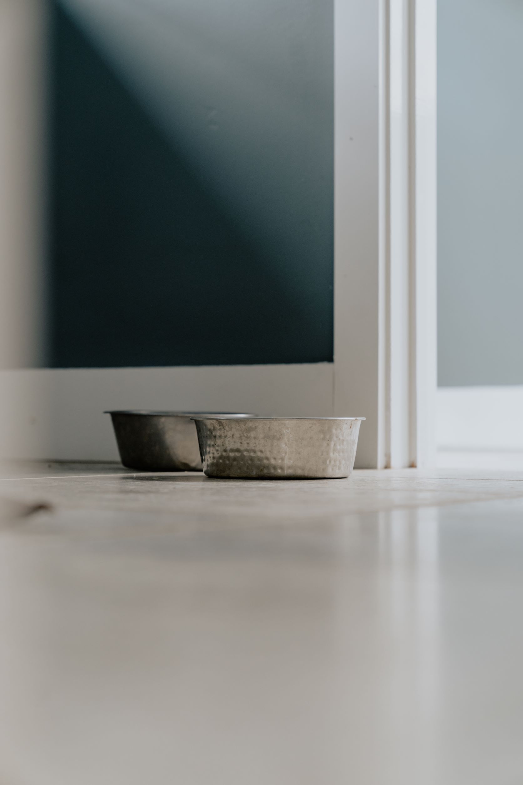 A minimalist room with two metal bowls on a light-colored floor, a dark wall, and a white door.