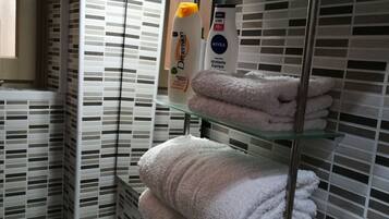 Dusche, Haartrockner, Bidet, Handtücher