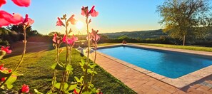 Una piscina con vistas claras del paisaje circundante, que incluye un área verde y un árbol.