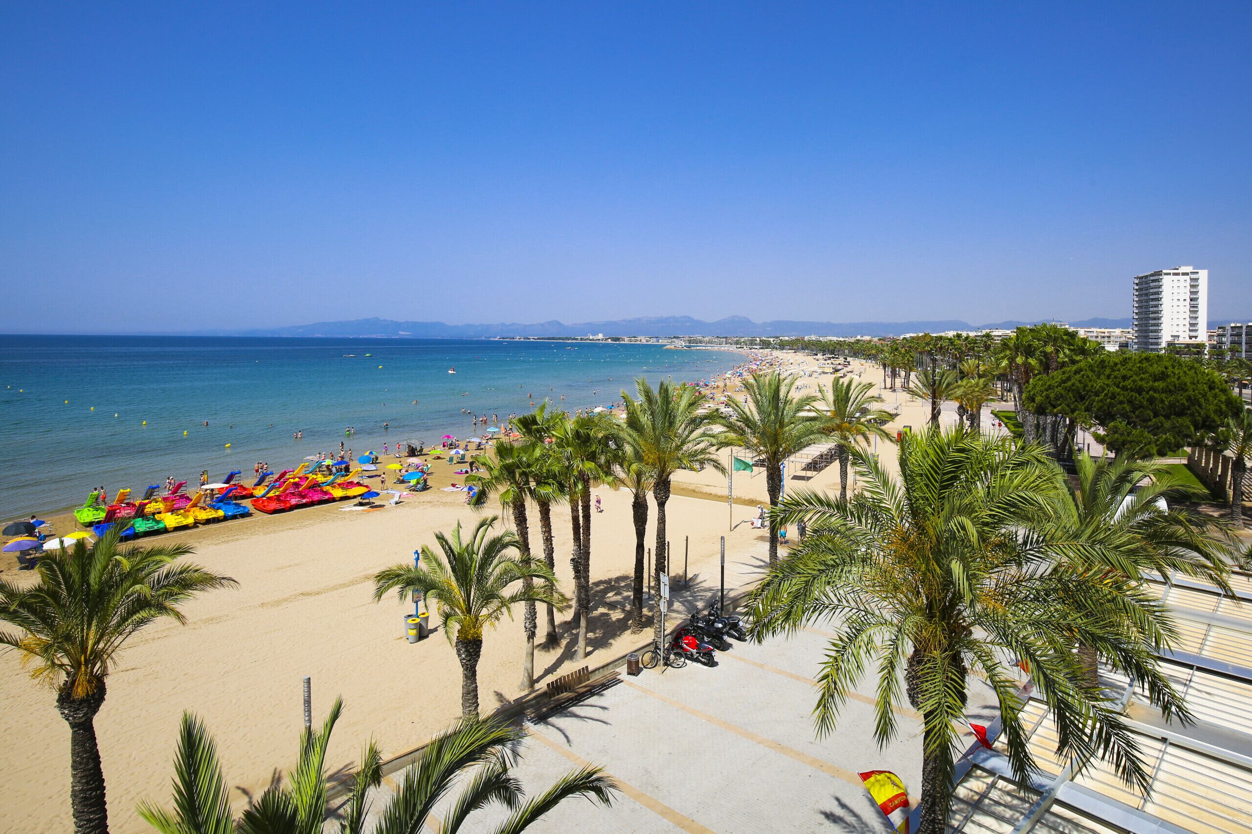 Ein Strand mit Palmen, sandigem Ufer und blauem Himmel.