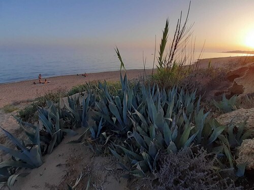 Sant'Onofrio: between nature and art