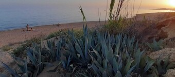 Sant'Onofrio: between nature and art